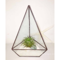 Boîte à fleurs de style terrarium pour plantes en verre carré